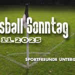 Fussball vom 09.11.2025