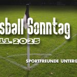 Fussball vom 16.11.2025