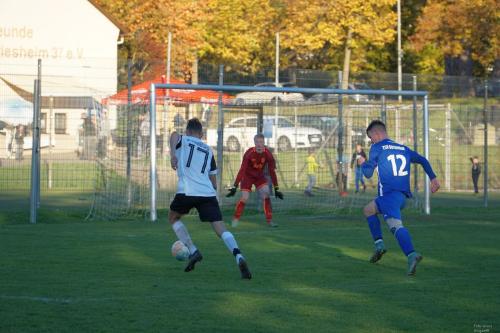 TSV Botenheim vom 13.11.2022